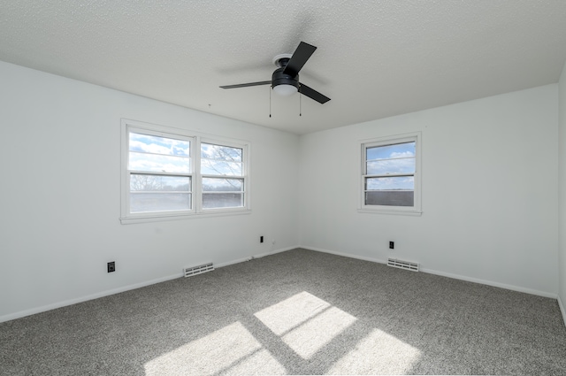 spare room featuring carpet floors, a textured ceiling, a wealth of natural light, and ceiling fan