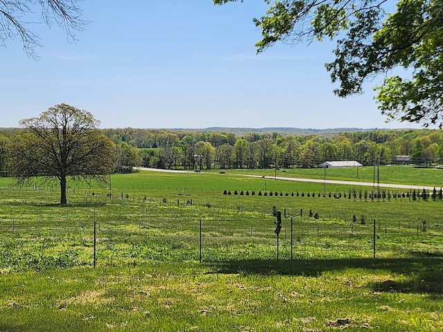 view of yard with a rural view