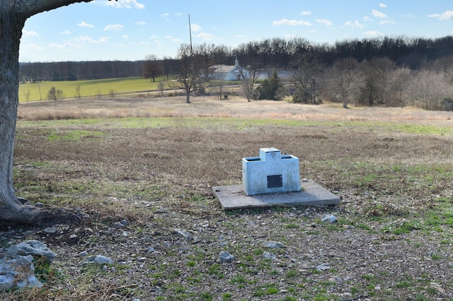 view of yard with a rural view