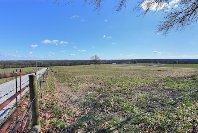 view of yard featuring a rural view