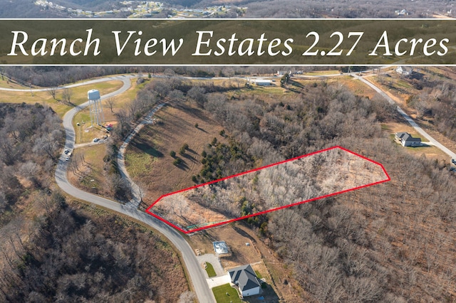 381 Emory Creek Blvd, Branson MO, 65616 land for sale