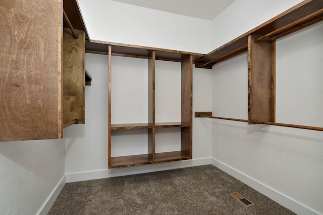 spacious closet with dark colored carpet