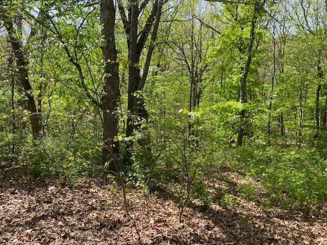 0 E Woodlawn Cir, Rogersville MO, 65742 land for sale