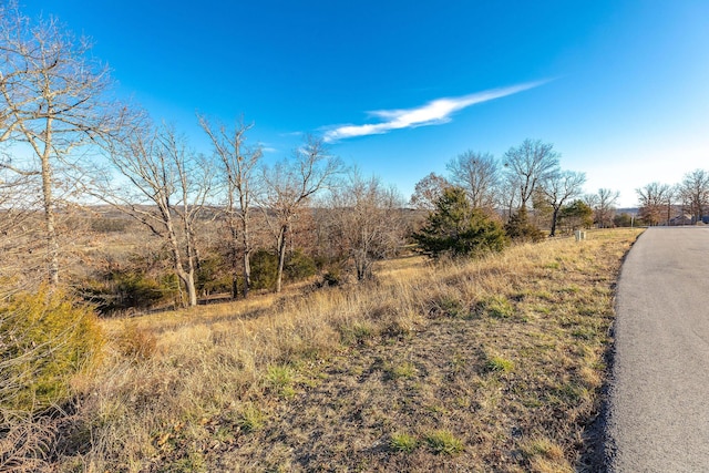 0 Mark Twain Dr, Saddlebrooke, MO 65630
