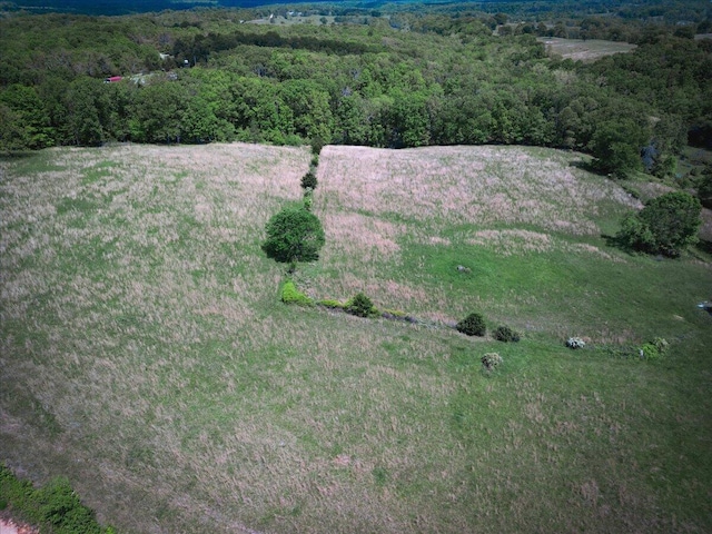 18241 Pine Rd, Willow Springs, MO 65793