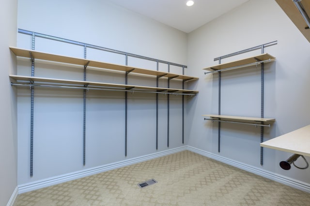 spacious closet with light carpet