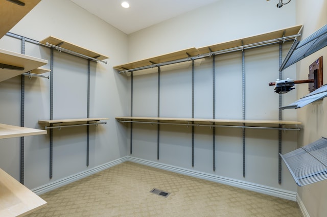 walk in closet with light colored carpet