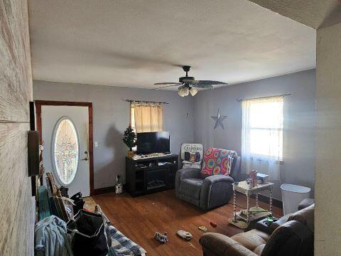 living room featuring ceiling fan and dark wood-type flooring