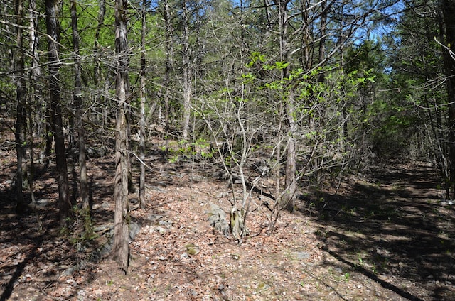 Listing photo 3 for LOT63A Ridgemont Cir, Branson West MO 65737