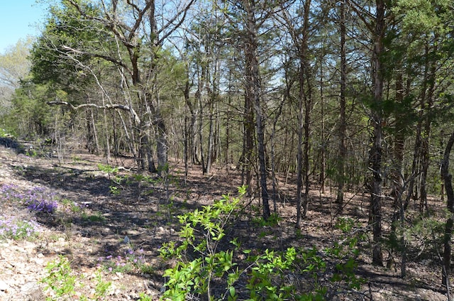 LOT63A Ridgemont Cir, Branson West, MO 65737 - photo 2
