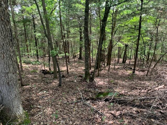 LOT63A Ridgemont Cir, Branson West, MO 65737 - photo 6