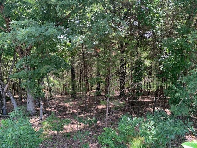 LOT63A Ridgemont Cir, Branson West, MO 65737 - photo 11
