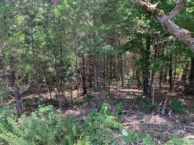 LOT63A Ridgemont Cir, Branson West, MO 65737 - photo 10