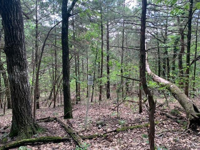 LOT63A Ridgemont Cir, Branson West, MO 65737 - photo 4