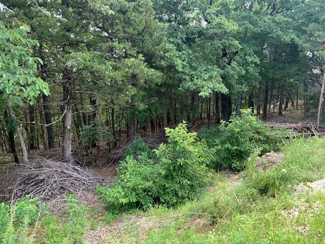 LOT63A Ridgemont Cir, Branson West, MO 65737 - photo 3