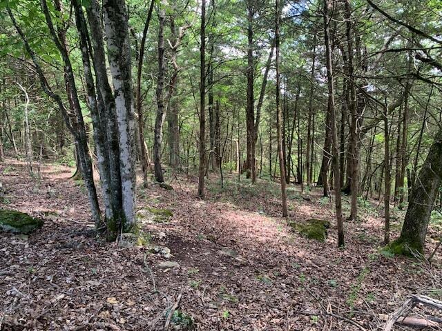 LOT63A Ridgemont Cir, Branson West, MO 65737 - photo 5