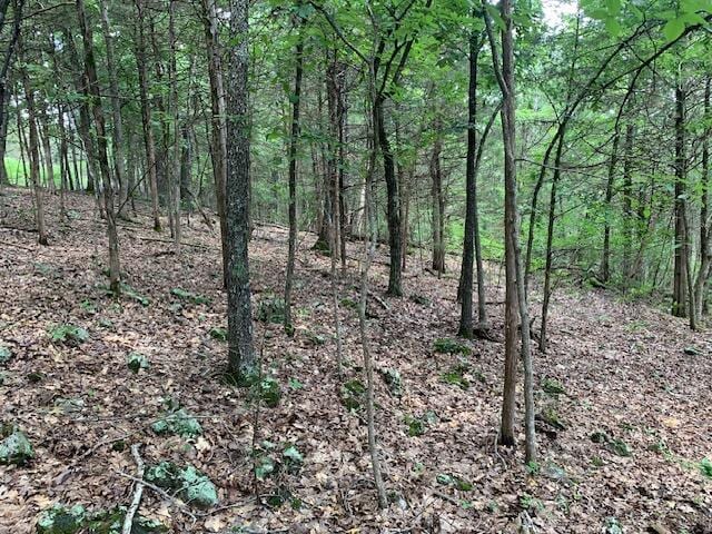 LOT63A Ridgemont Cir, Branson West, MO 65737 - photo 7