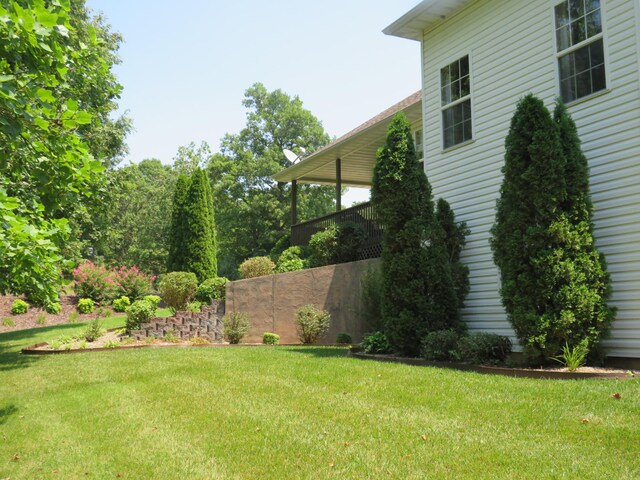 view of yard