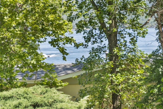 view of water feature