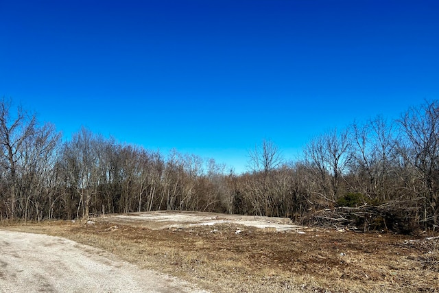 204 N Blake, Stockton MO, 65785 land for sale