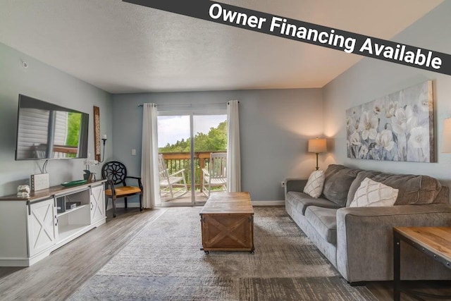 living room with hardwood / wood-style floors