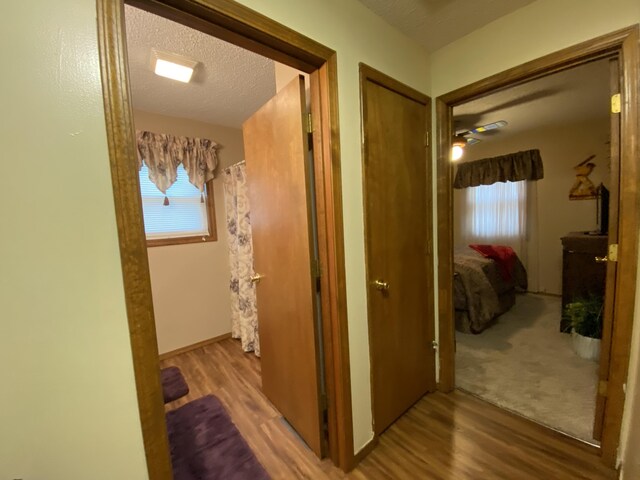 hallway featuring wood finished floors, a textured ceiling, and a healthy amount of sunlight