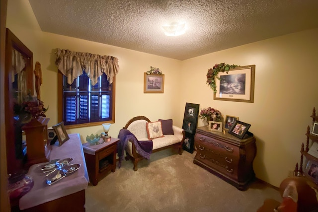 living area with carpet flooring and a textured ceiling