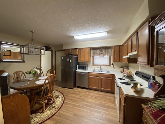 kitchen with a sink, a textured ceiling, appliances with stainless steel finishes, light wood finished floors, and under cabinet range hood