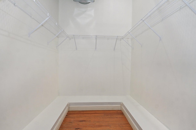 walk in closet with hardwood / wood-style floors