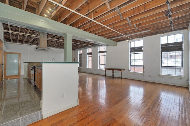 kitchen with wood-type flooring, electric stove, and exhaust hood