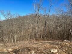 Listing photo 3 for 000 Deer Vly, Subdivison Galena MO 65656