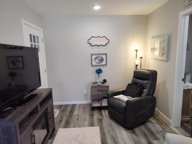 living area featuring wood-type flooring