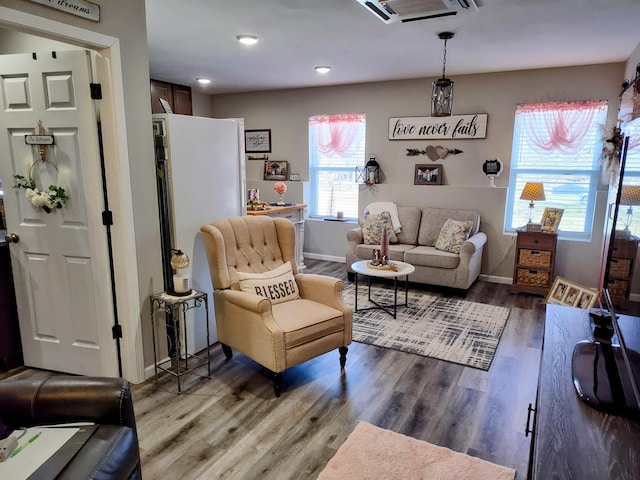 living room featuring wood-type flooring