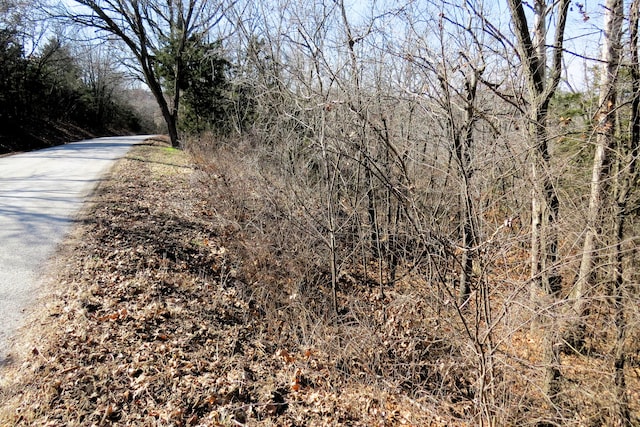 LOT273A Hill Haven Rd, Hollister MO, 65672 land for sale