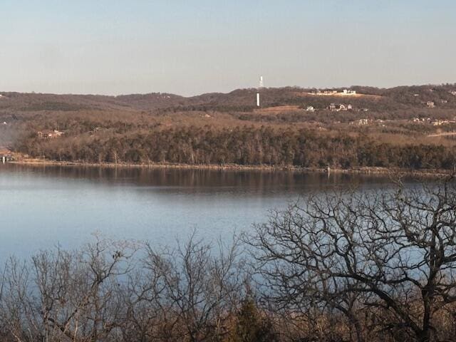 property view of water