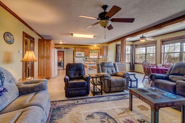 living room with ceiling fan, a textured ceiling, crown molding, and sink