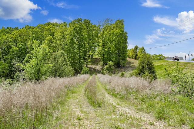 Tbd Highway 13, Branson West, MO 65737 - photo 10