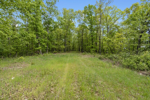 Tbd Highway 13, Branson West, MO 65737 - photo 13