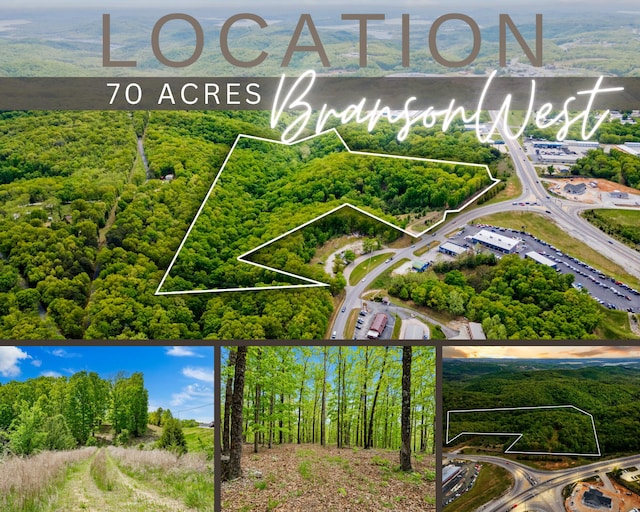 Tbd Highway 13, Branson West MO, 65737 land for sale