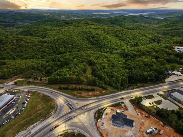 Tbd Highway 13, Branson West, MO 65737 - photo 34