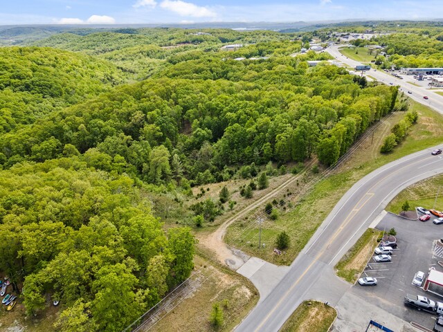 Tbd Highway 13, Branson West, MO 65737 - photo 35