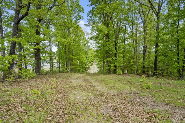 Tbd Highway 13, Branson West, MO 65737 - photo 8