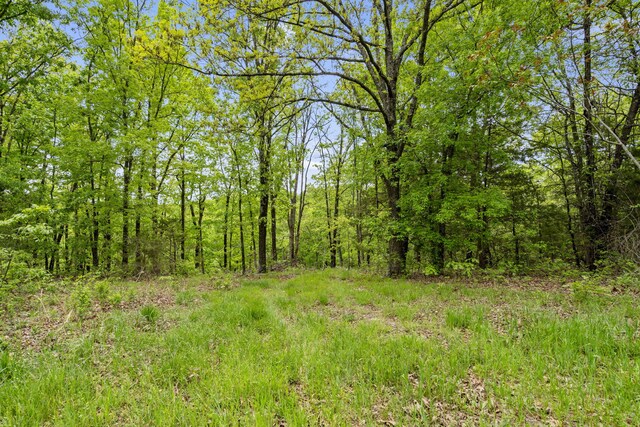 Tbd Highway 13, Branson West, MO 65737 - photo 14