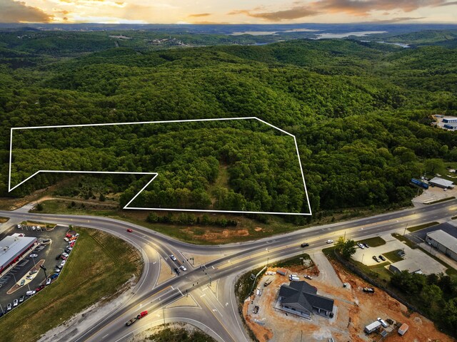 Tbd Highway 13, Branson West, MO 65737 - photo 2