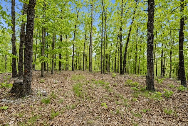 Tbd Highway 13, Branson West, MO 65737 - photo 12