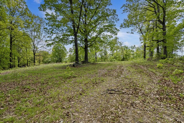 Tbd Highway 13, Branson West, MO 65737 - photo 11
