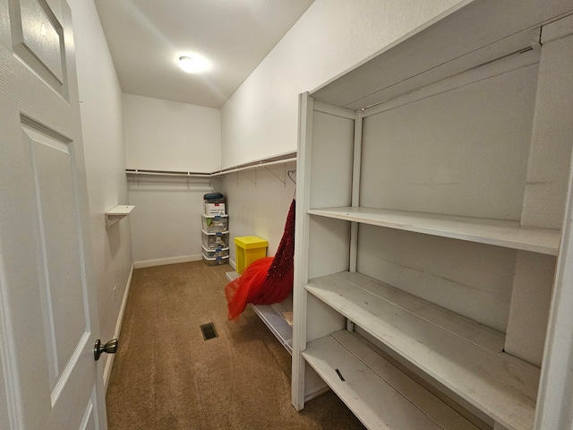 walk in closet with carpet flooring