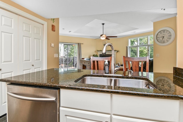 kitchen featuring a raised ceiling, dark stone counters, and a healthy amount of sunlight