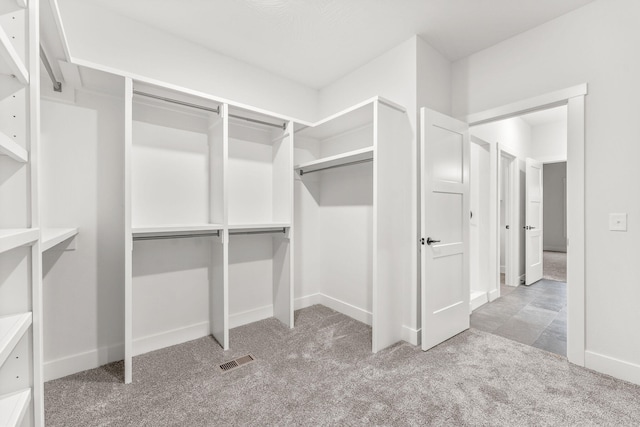 walk in closet featuring carpet flooring