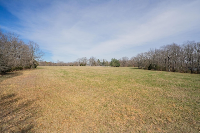 000 E State Highway Yy, Strafford, MO 65757 - photo 8
